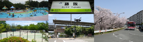 top-midasi-fujisaka