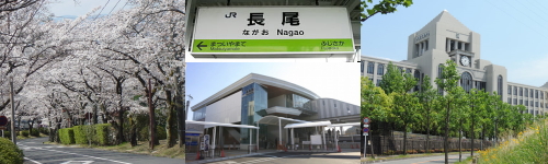 top-midasi-nagao